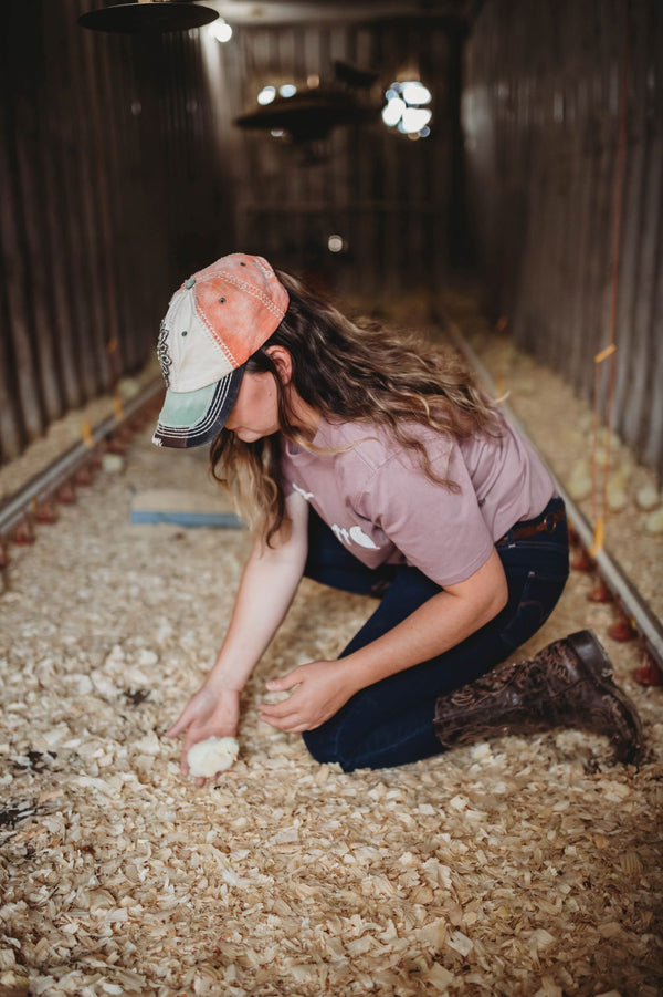 Small Business Consulting