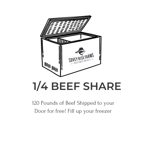 1/4 Beef Share
