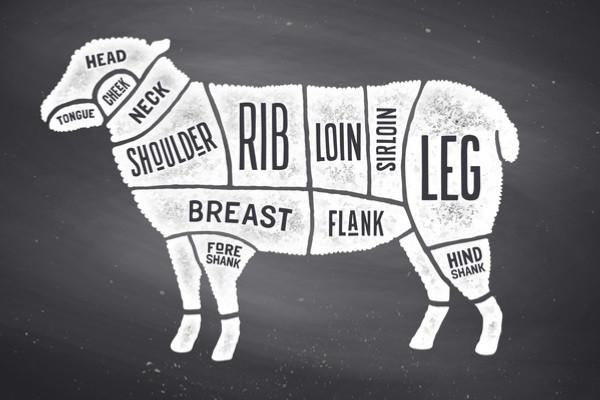 Lamb Shanks